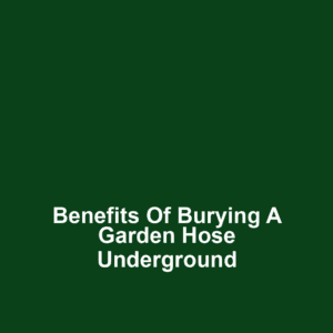 Benefits of Burying a Garden Hose Underground