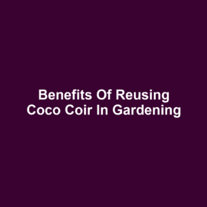 Benefits of Reusing Coco Coir in Gardening