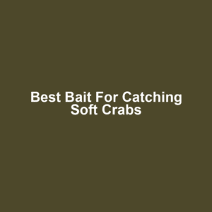 Best Bait for Catching Soft Crabs