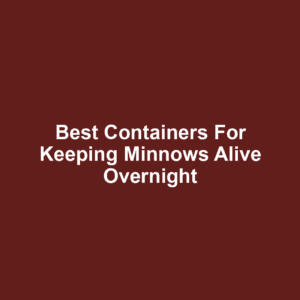 Best Containers for Keeping Minnows Alive Overnight