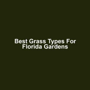 Best Grass Types for Florida Gardens