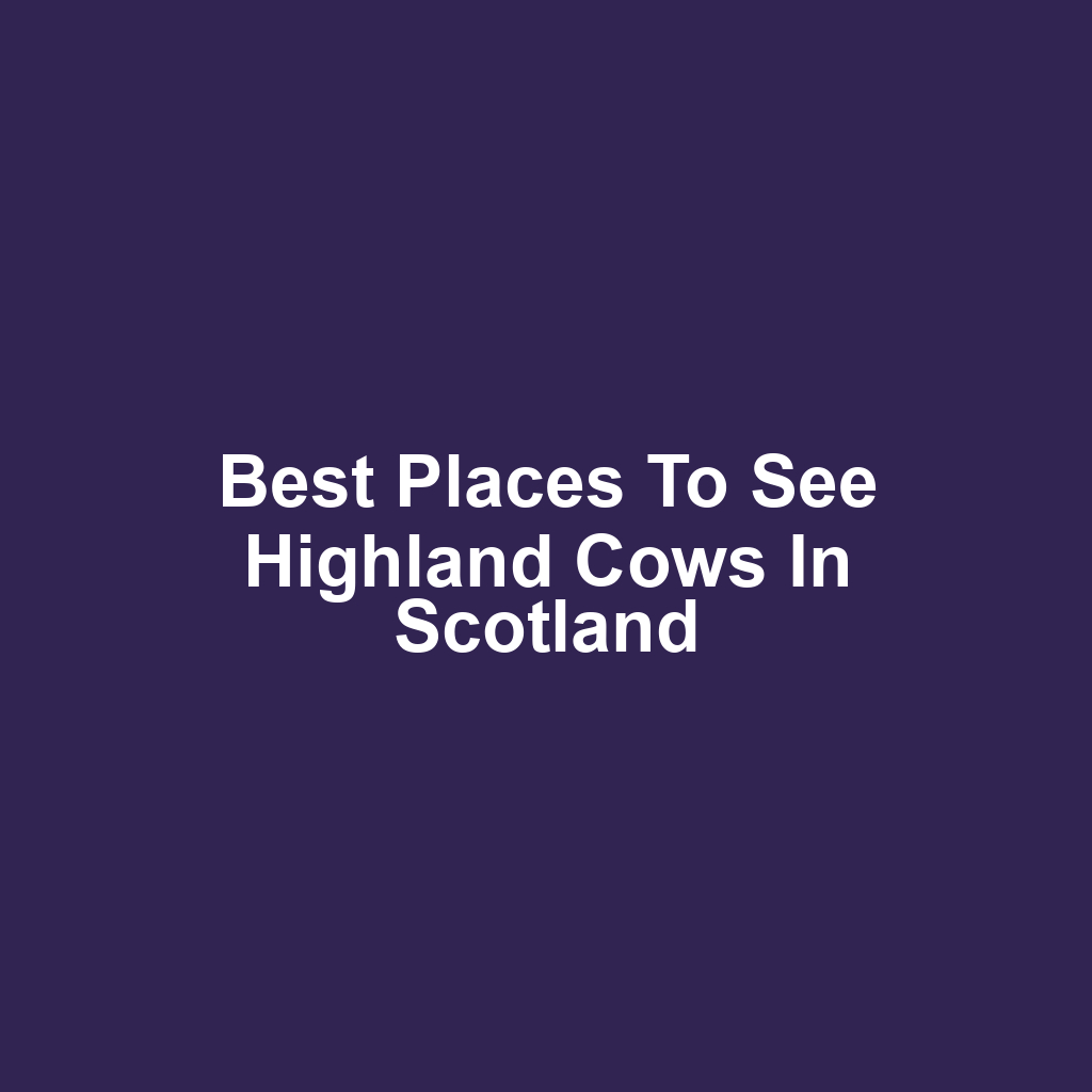Best Places to See Highland Cows in Scotland