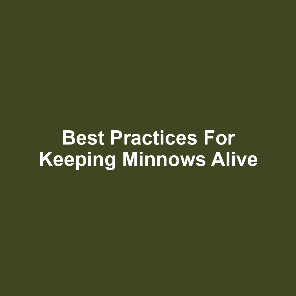 Best Practices for Keeping Minnows Alive