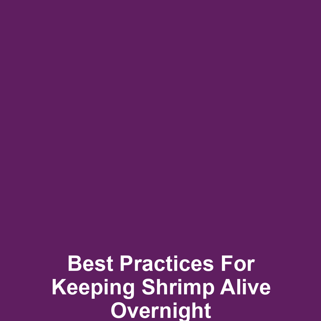 Best Practices for Keeping Shrimp Alive Overnight