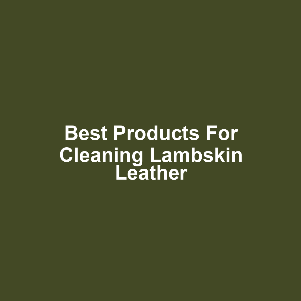 Best Products for Cleaning Lambskin Leather