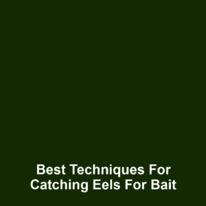 Best Techniques for Catching Eels for Bait