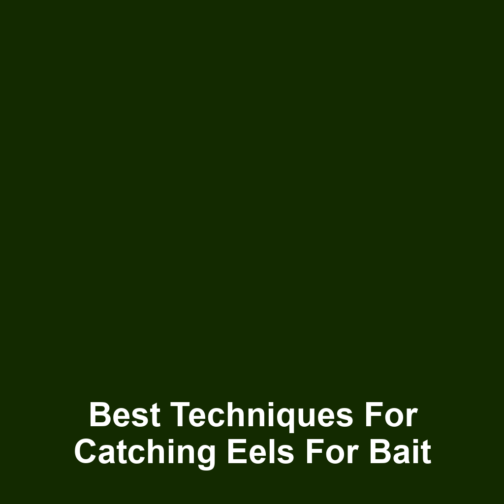 Best Techniques for Catching Eels for Bait