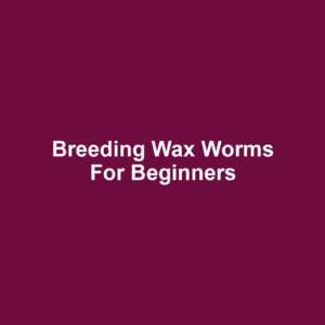 Breeding Wax Worms for Beginners