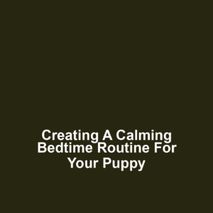 Creating a Calming Bedtime Routine for Your Puppy