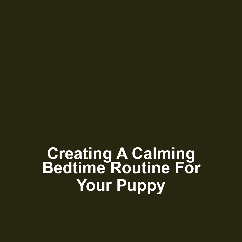 Creating a Calming Bedtime Routine for Your Puppy