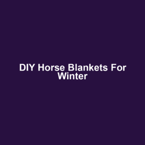 DIY Horse Blankets for Winter
