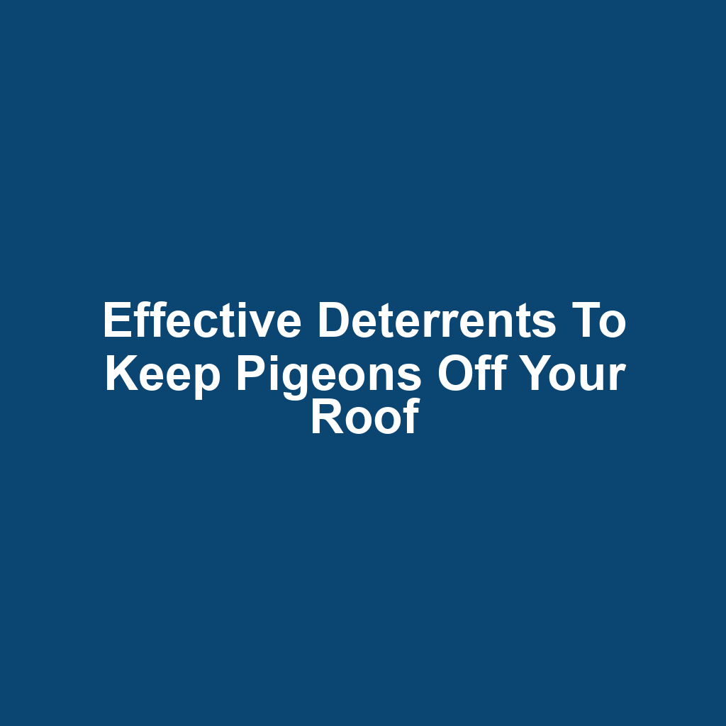 Effective Deterrents to Keep Pigeons Off Your Roof