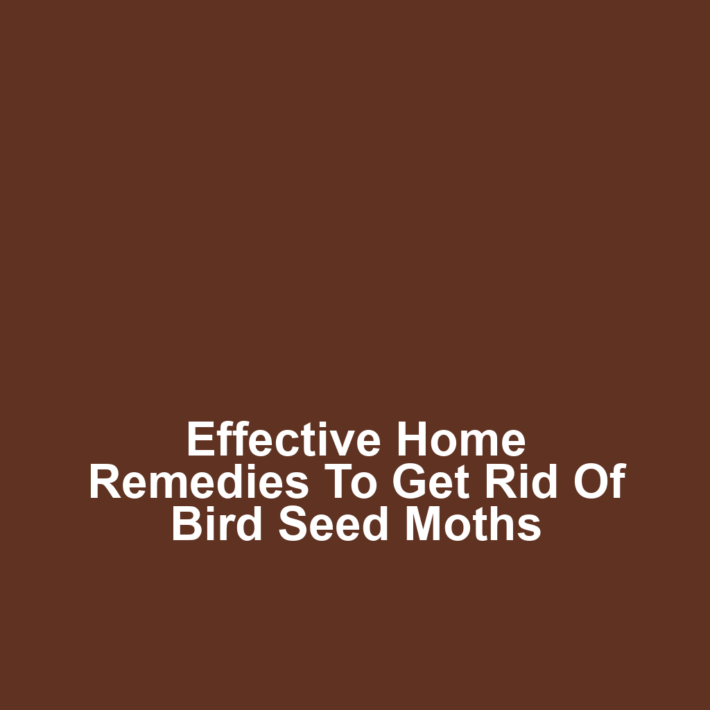 Effective Home Remedies to Get Rid of Bird Seed Moths