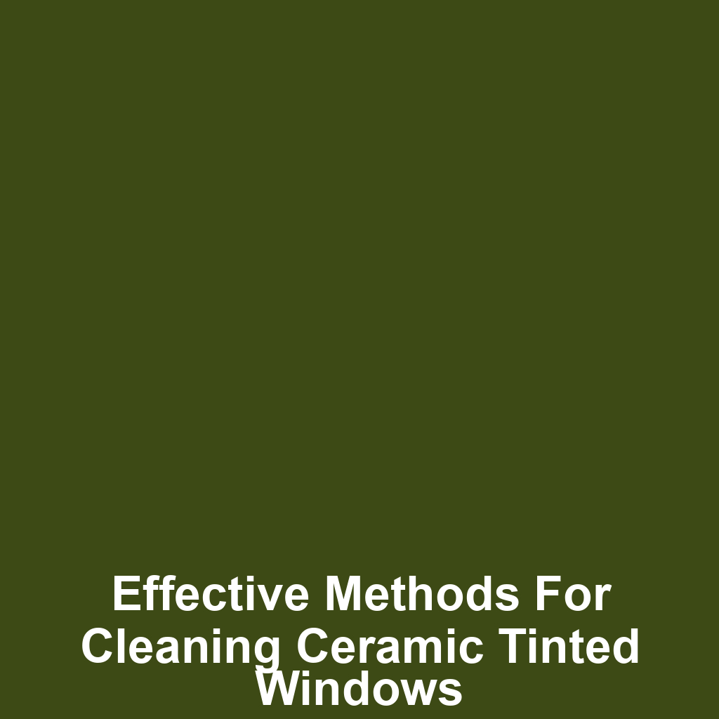 Effective Methods for Cleaning Ceramic Tinted Windows