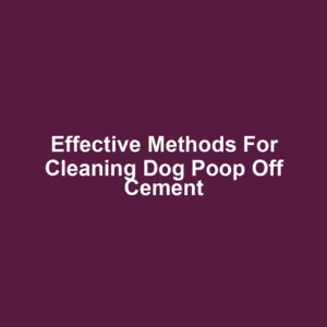 Effective Methods for Cleaning Dog Poop Off Cement