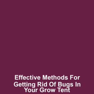 Effective Methods for Getting Rid of Bugs in Your Grow Tent
