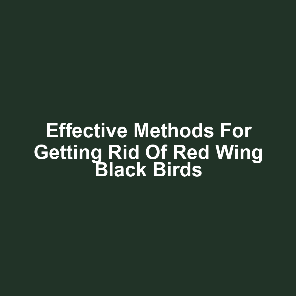 Effective Methods for Getting Rid of Red Wing Black Birds