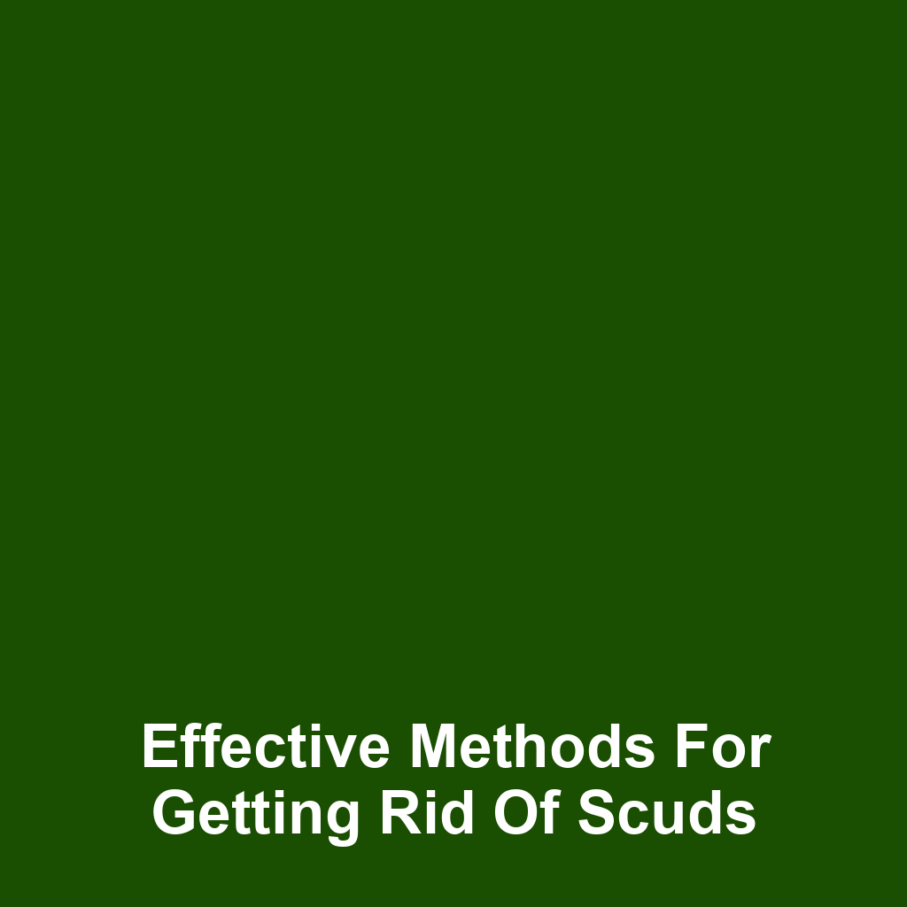 Effective Methods for Getting Rid of Scuds