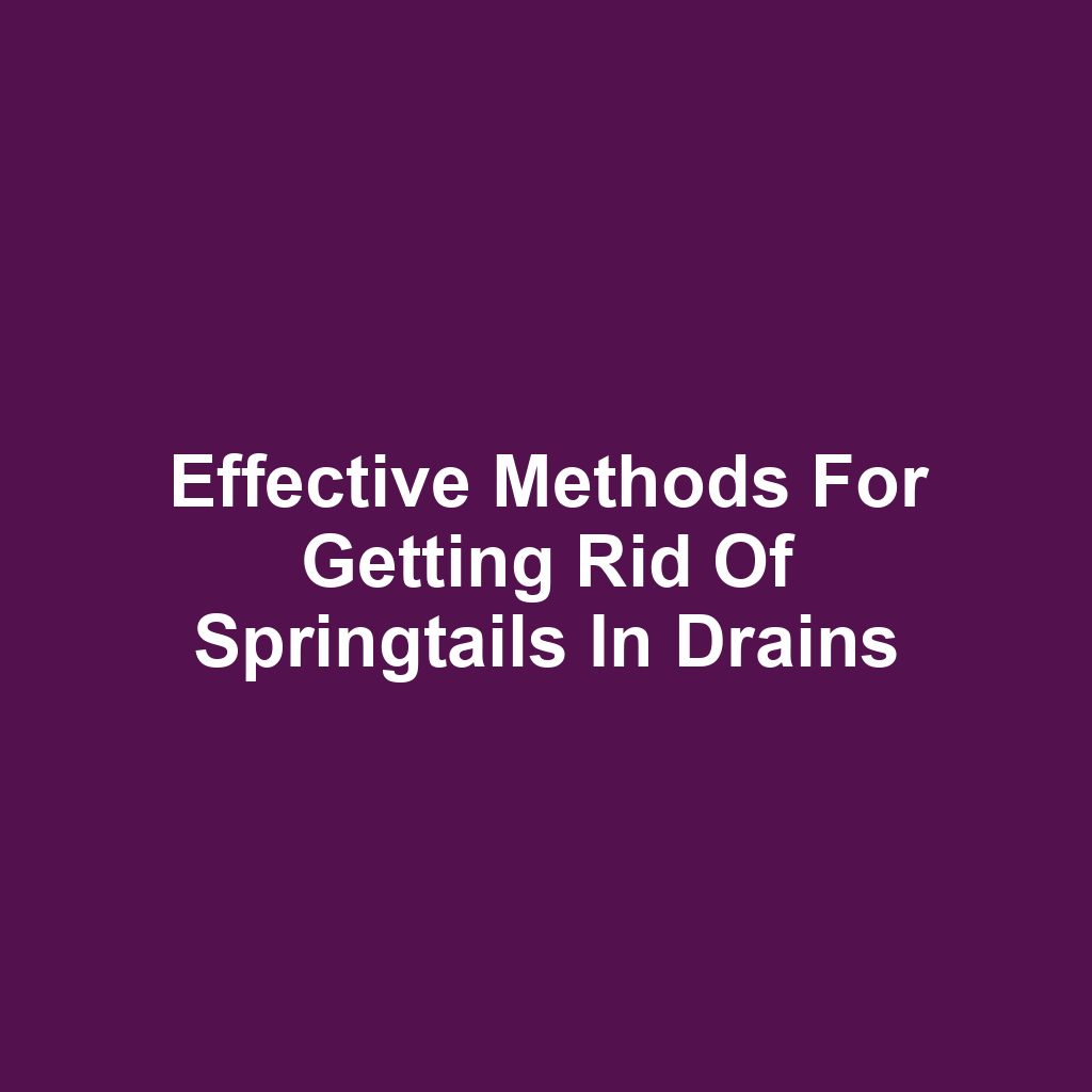 Effective Methods for Getting Rid of Springtails in Drains