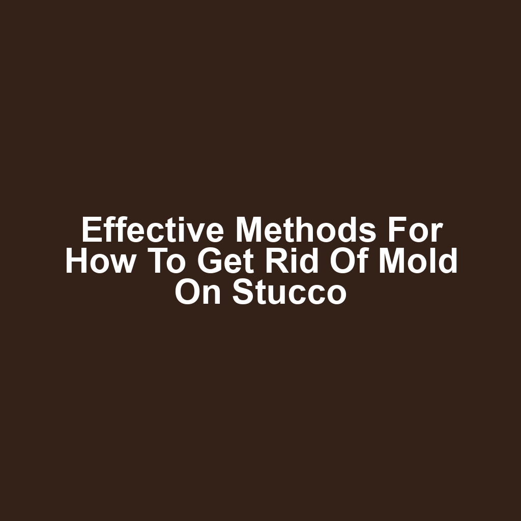 Effective Methods for How to Get Rid of Mold on Stucco