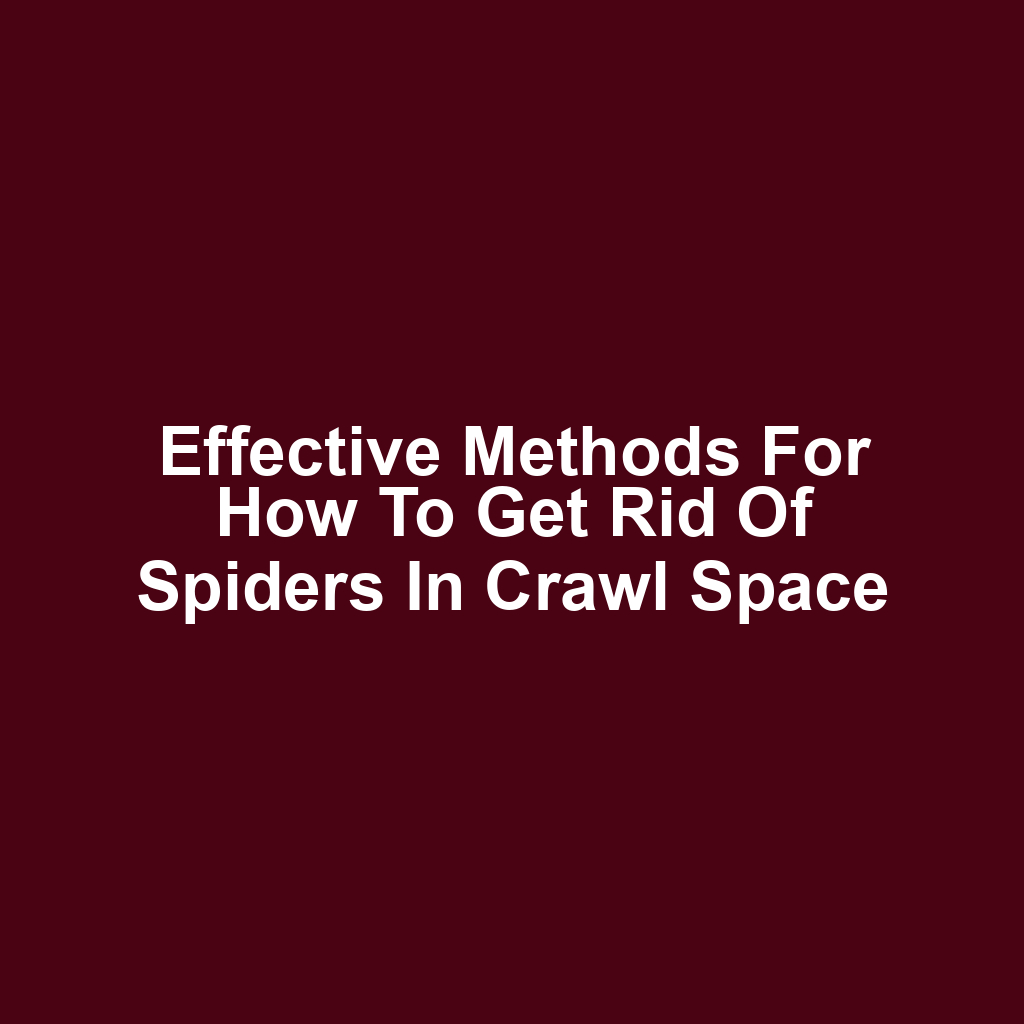 Effective Methods for How to Get Rid of Spiders in Crawl Space