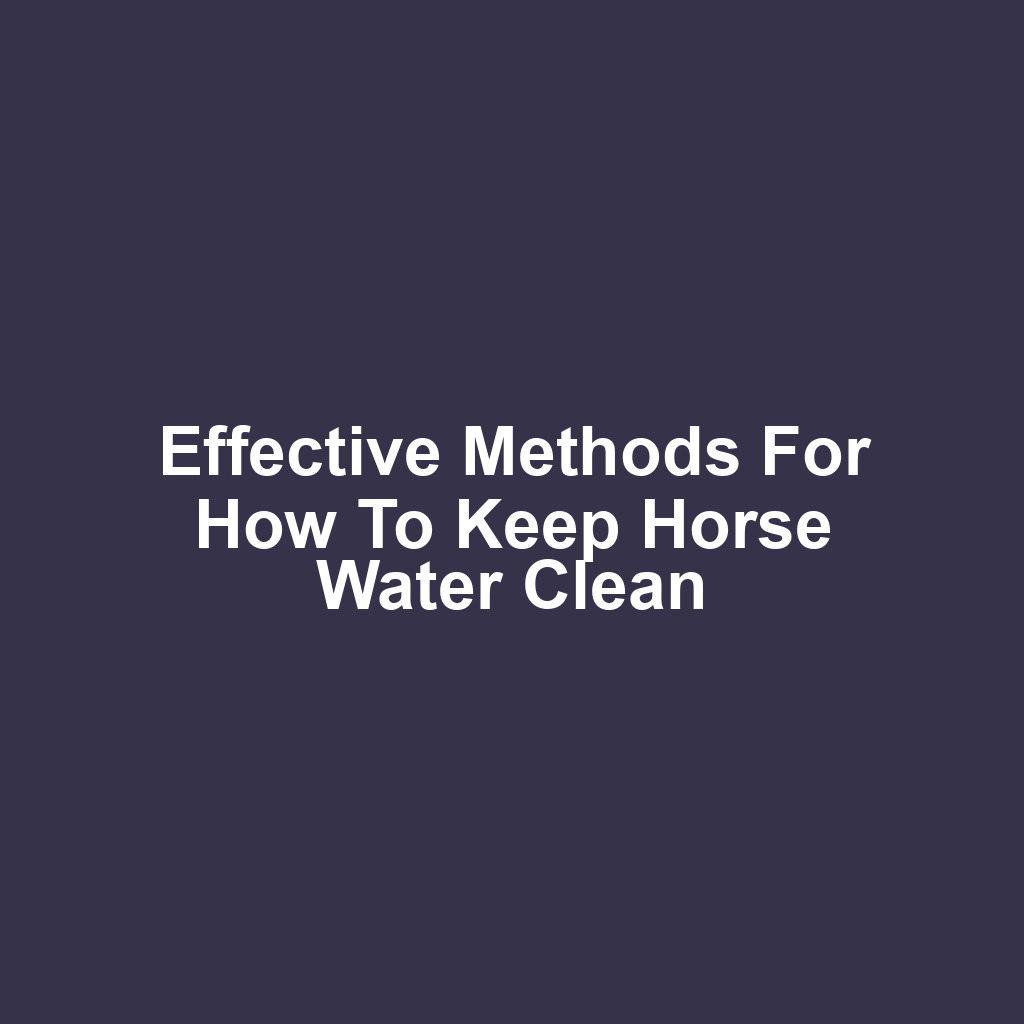 Effective Methods for How to Keep Horse Water Clean