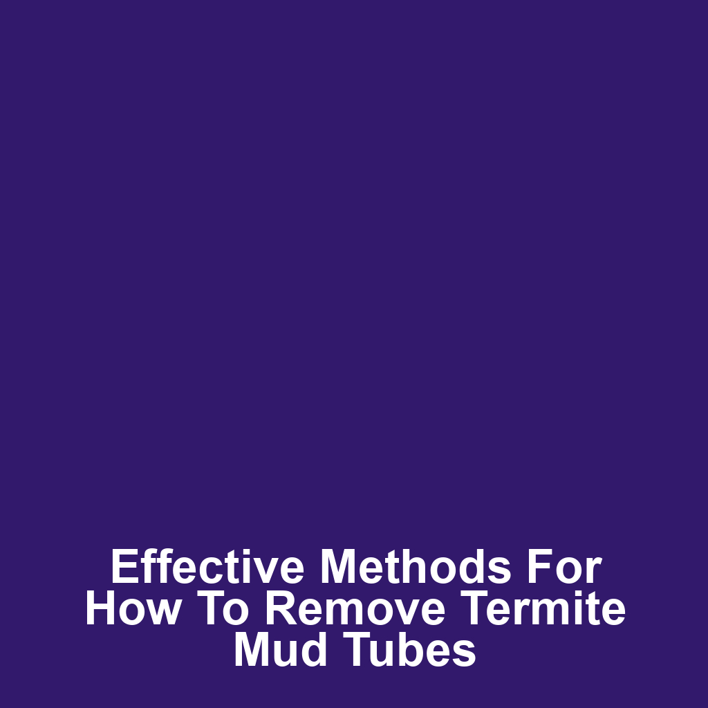 Effective Methods for How to Remove Termite Mud Tubes