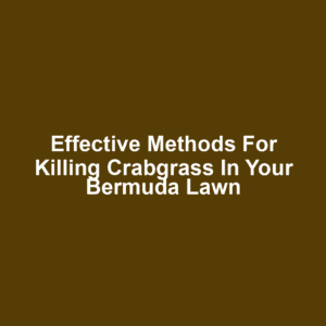 Effective Methods for Killing Crabgrass in Your Bermuda Lawn