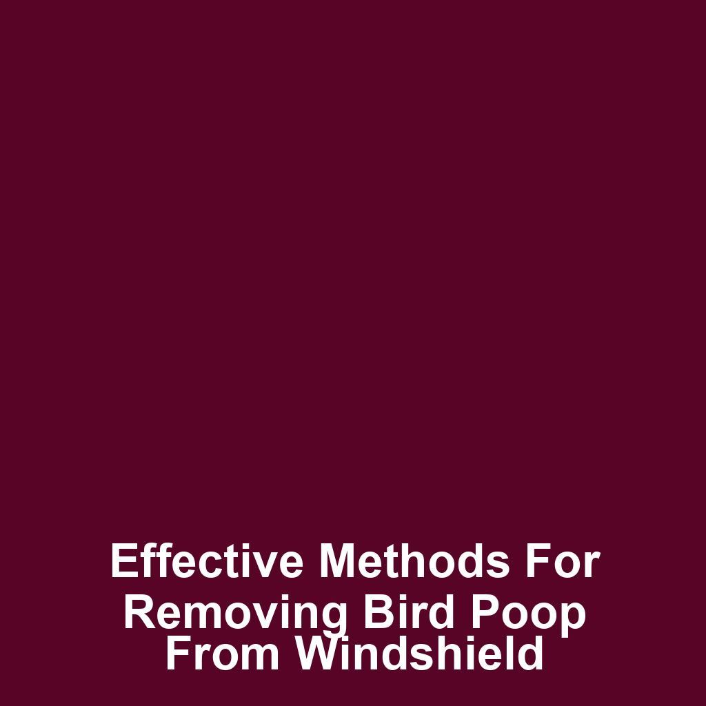 Effective methods for removing bird poop from windshield