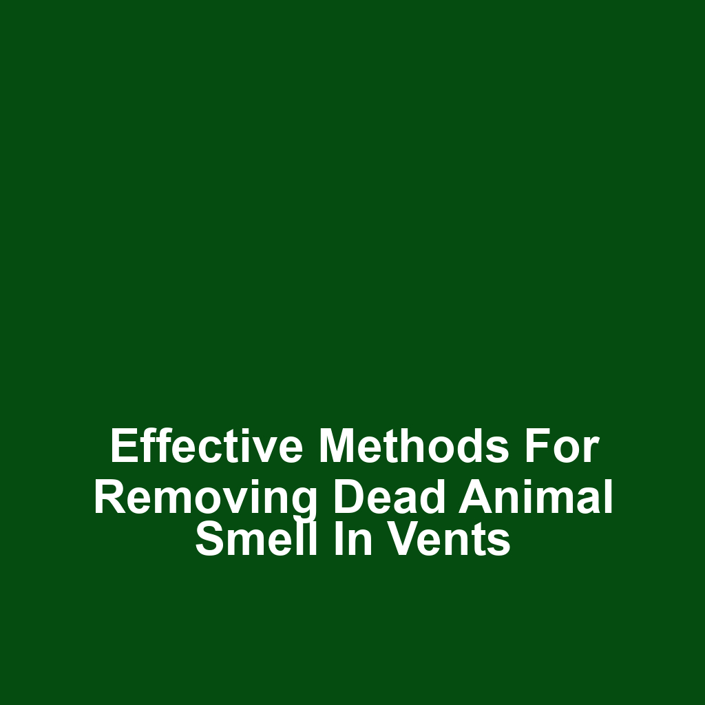Effective Methods for Removing Dead Animal Smell in Vents