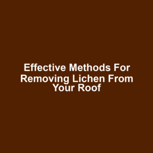 Effective methods for removing lichen from your roof