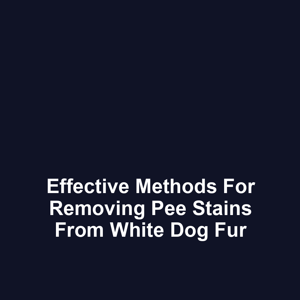 Effective methods for removing pee stains from white dog fur