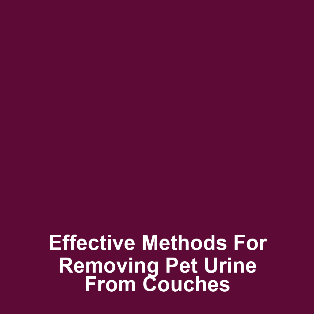 Effective methods for removing pet urine from couches