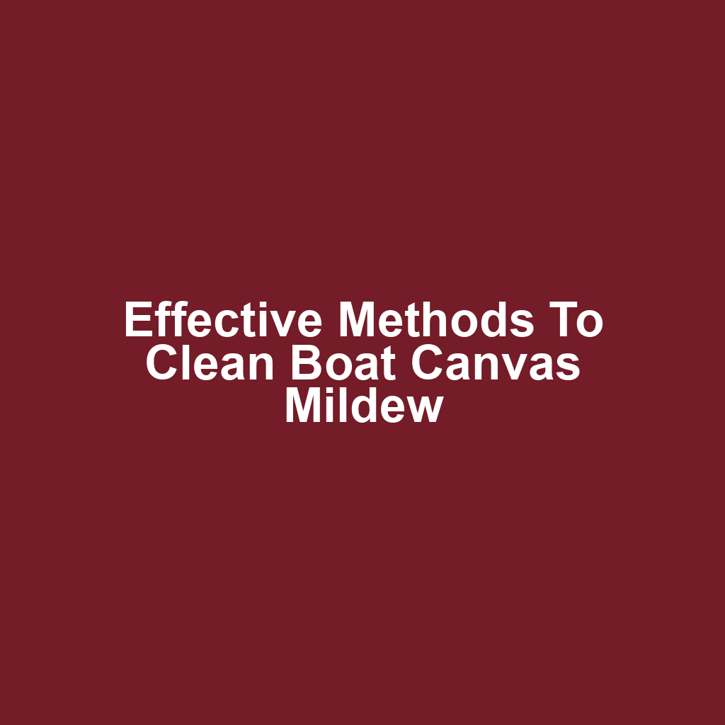 Effective Methods to Clean Boat Canvas Mildew