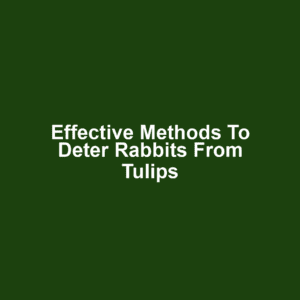 Effective methods to deter rabbits from tulips