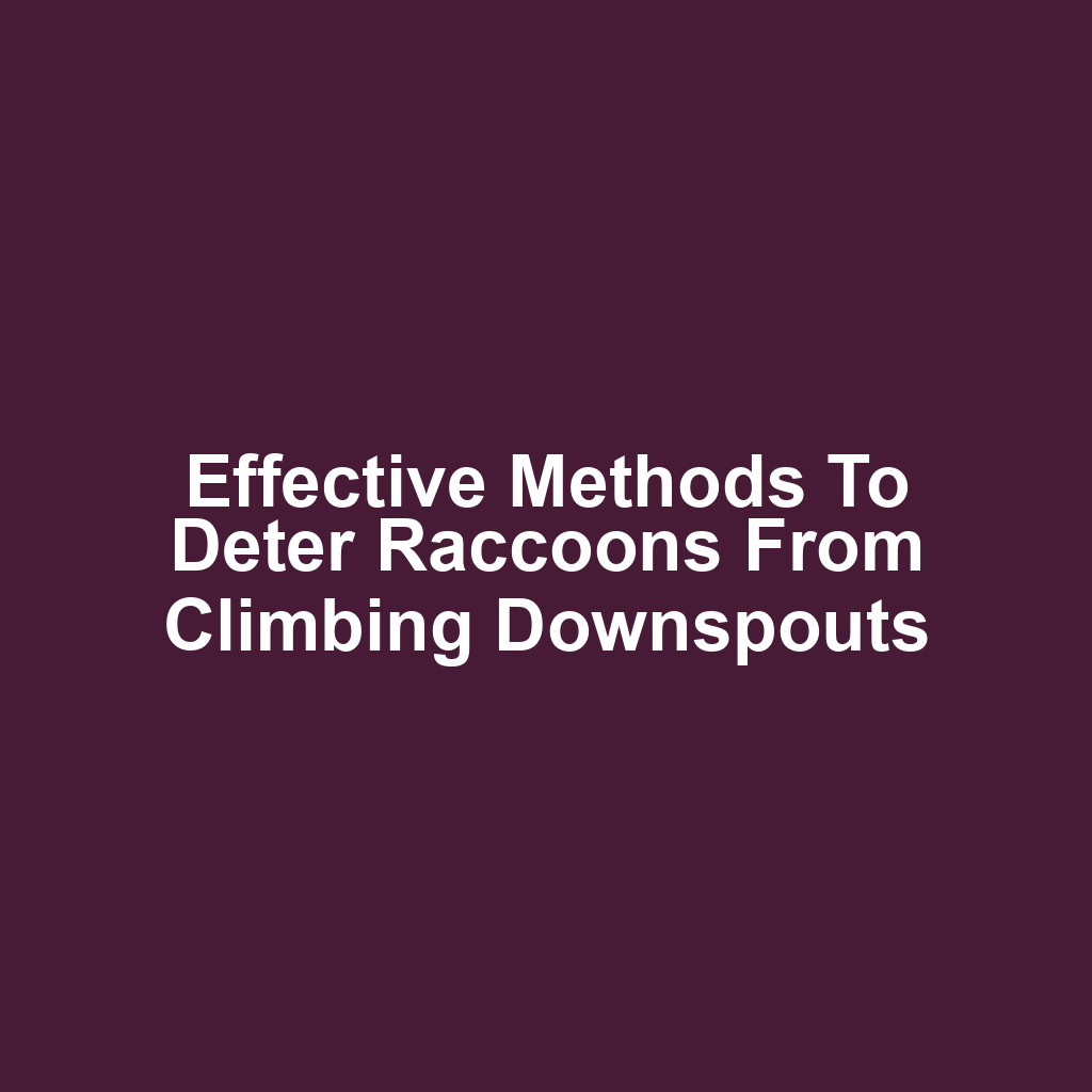 Effective methods to deter raccoons from climbing downspouts