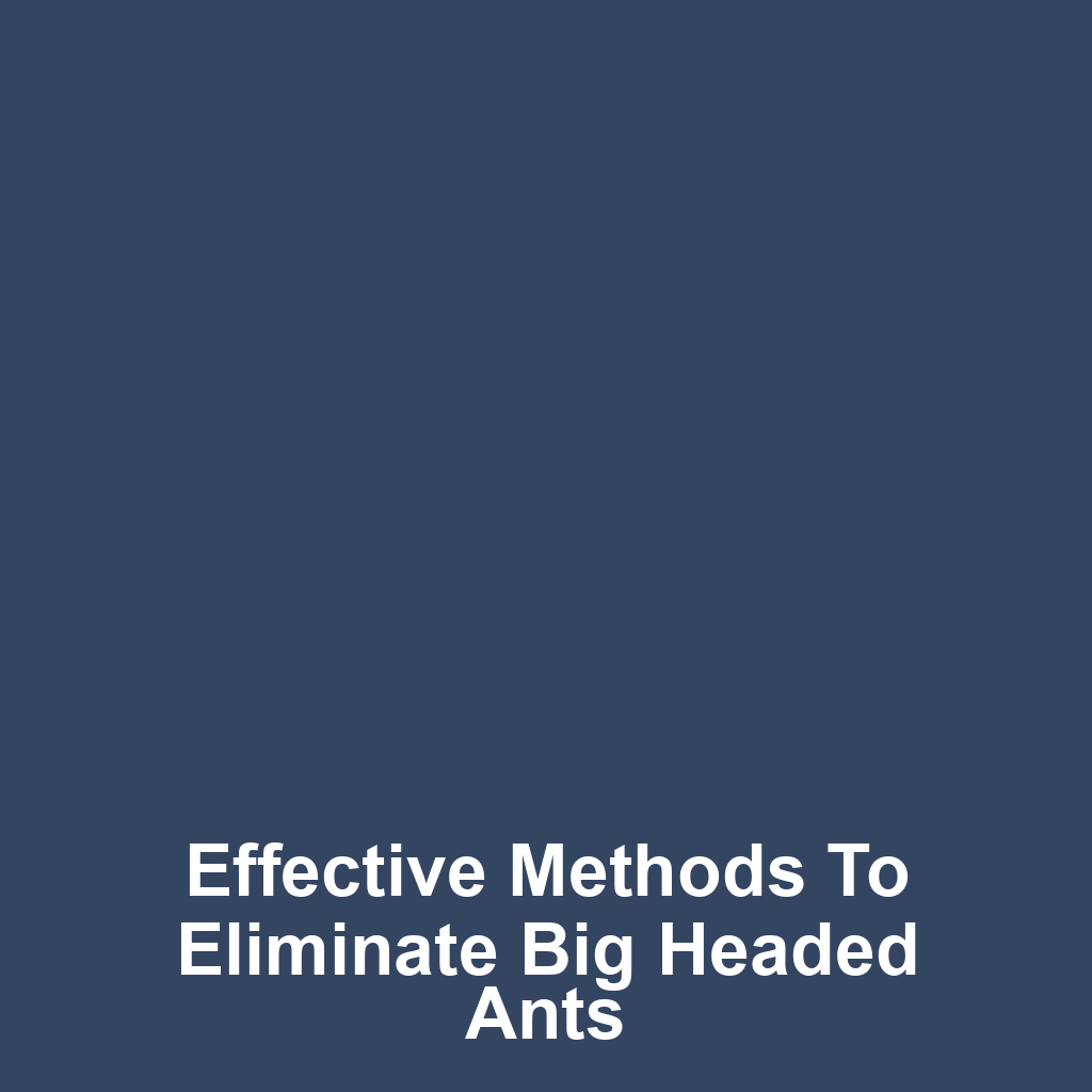 Effective Methods to Eliminate Big Headed Ants