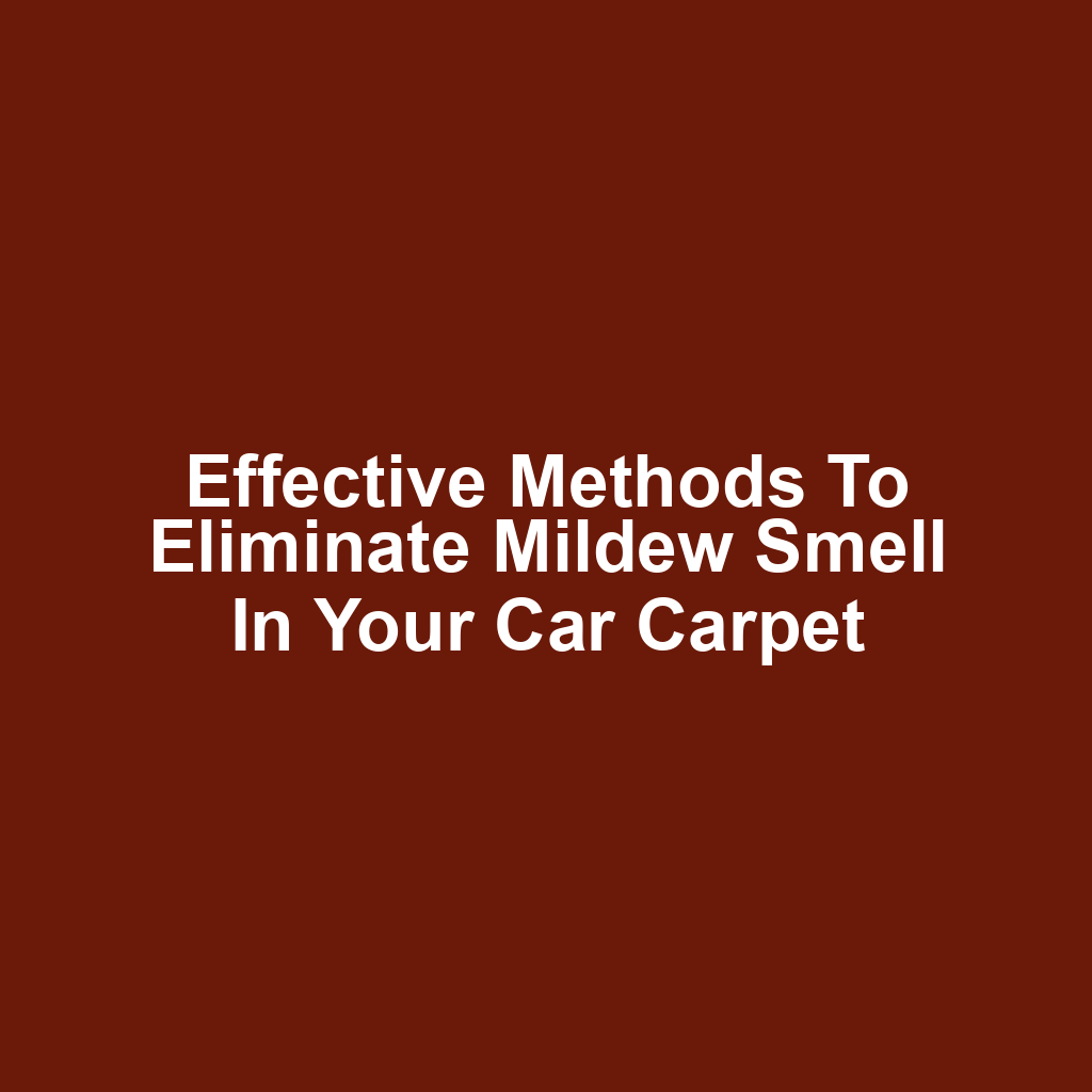 Effective Methods to Eliminate Mildew Smell in Your Car Carpet