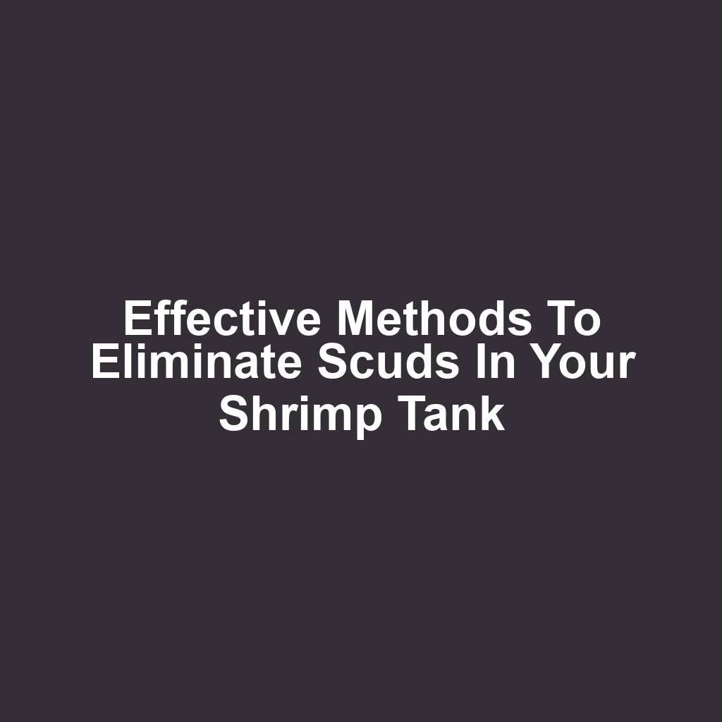 Effective Methods to Eliminate Scuds in Your Shrimp Tank