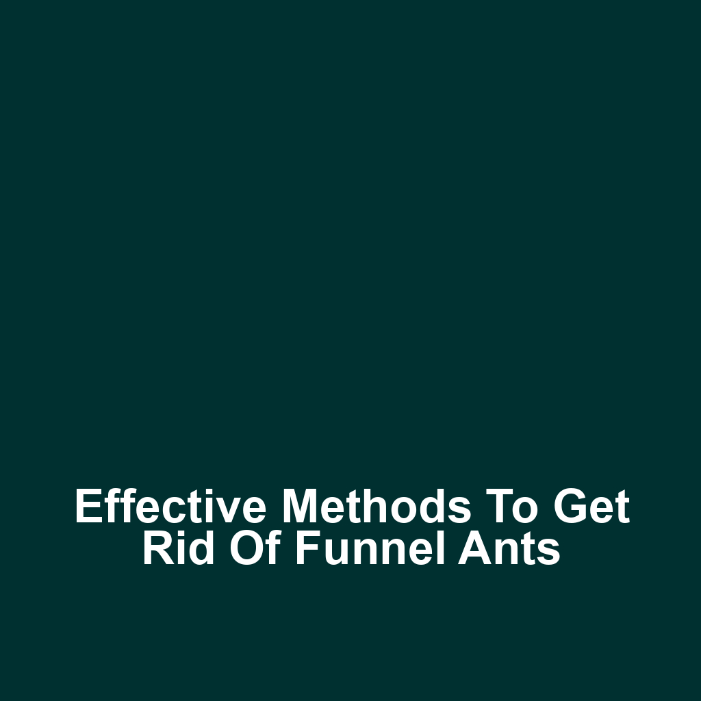 Effective Methods to Get Rid of Funnel Ants