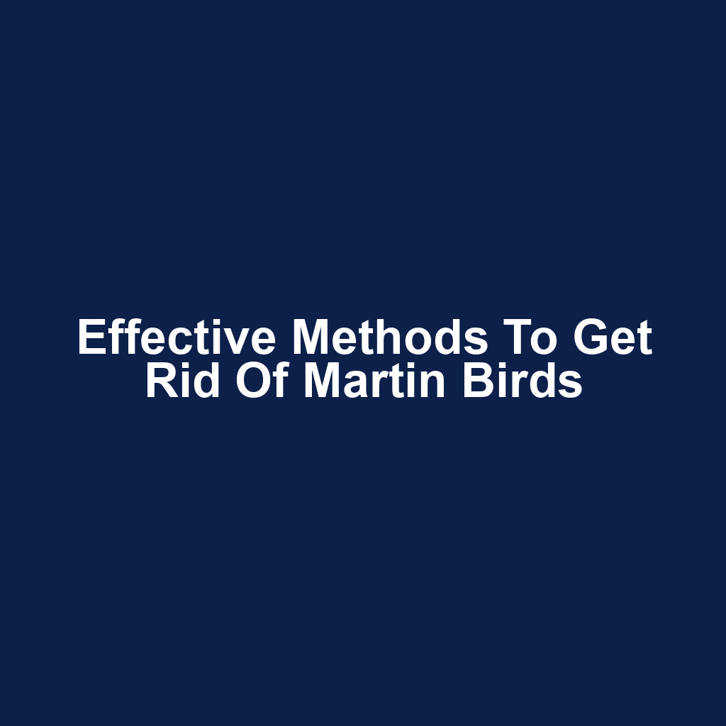 Effective Methods to Get Rid of Martin Birds