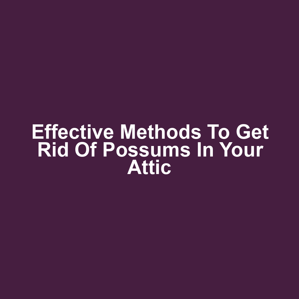 Effective Methods to Get Rid of Possums in Your Attic