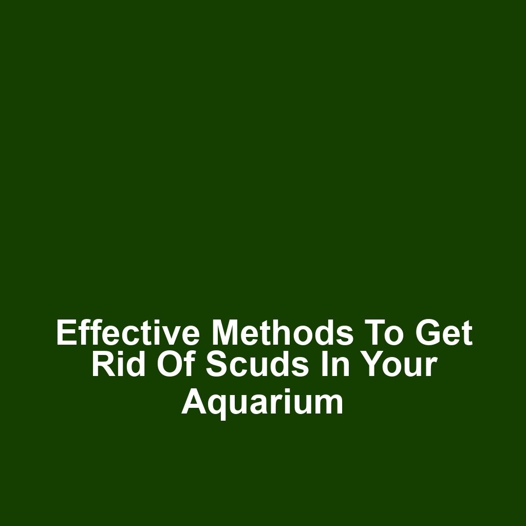 Effective Methods to Get Rid of Scuds in Your Aquarium