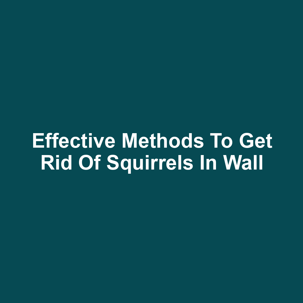 Effective Methods to Get Rid of Squirrels in Wall