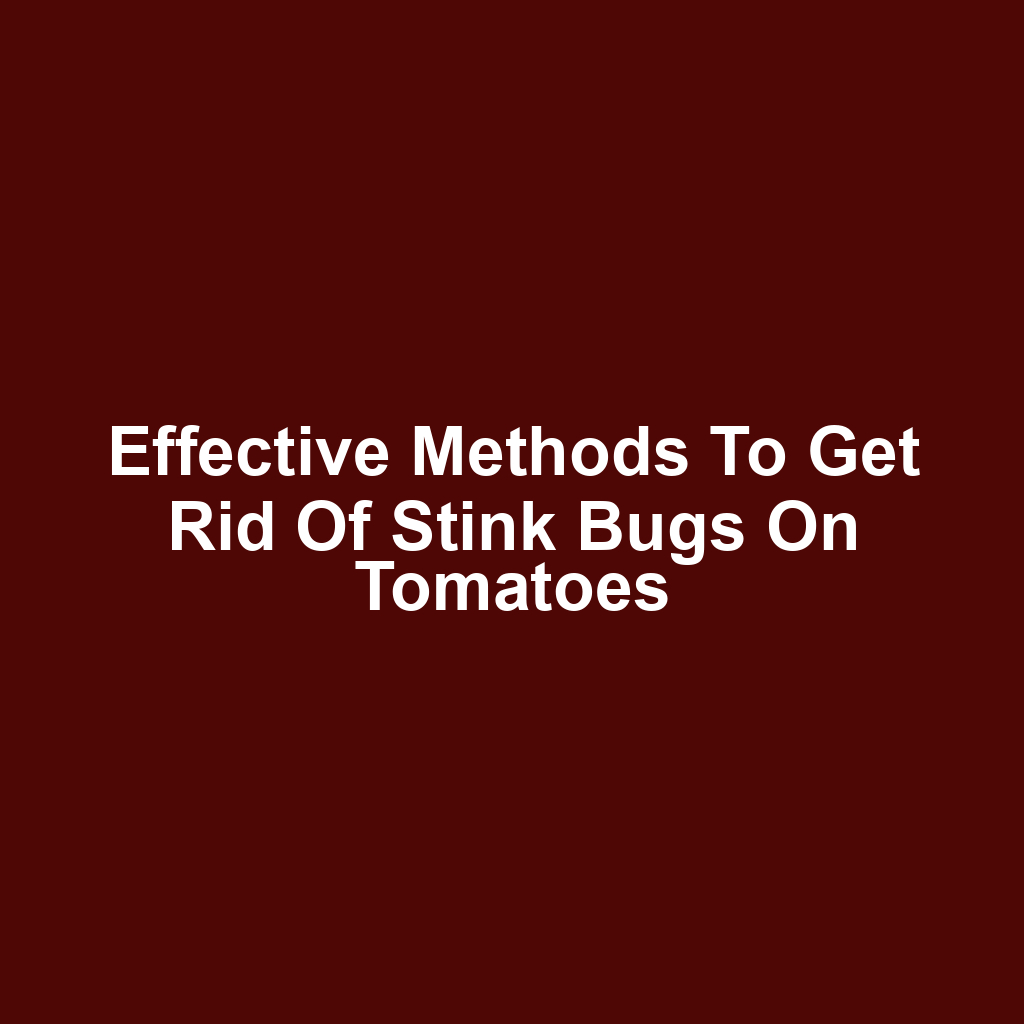 Effective Methods to Get Rid of Stink Bugs on Tomatoes