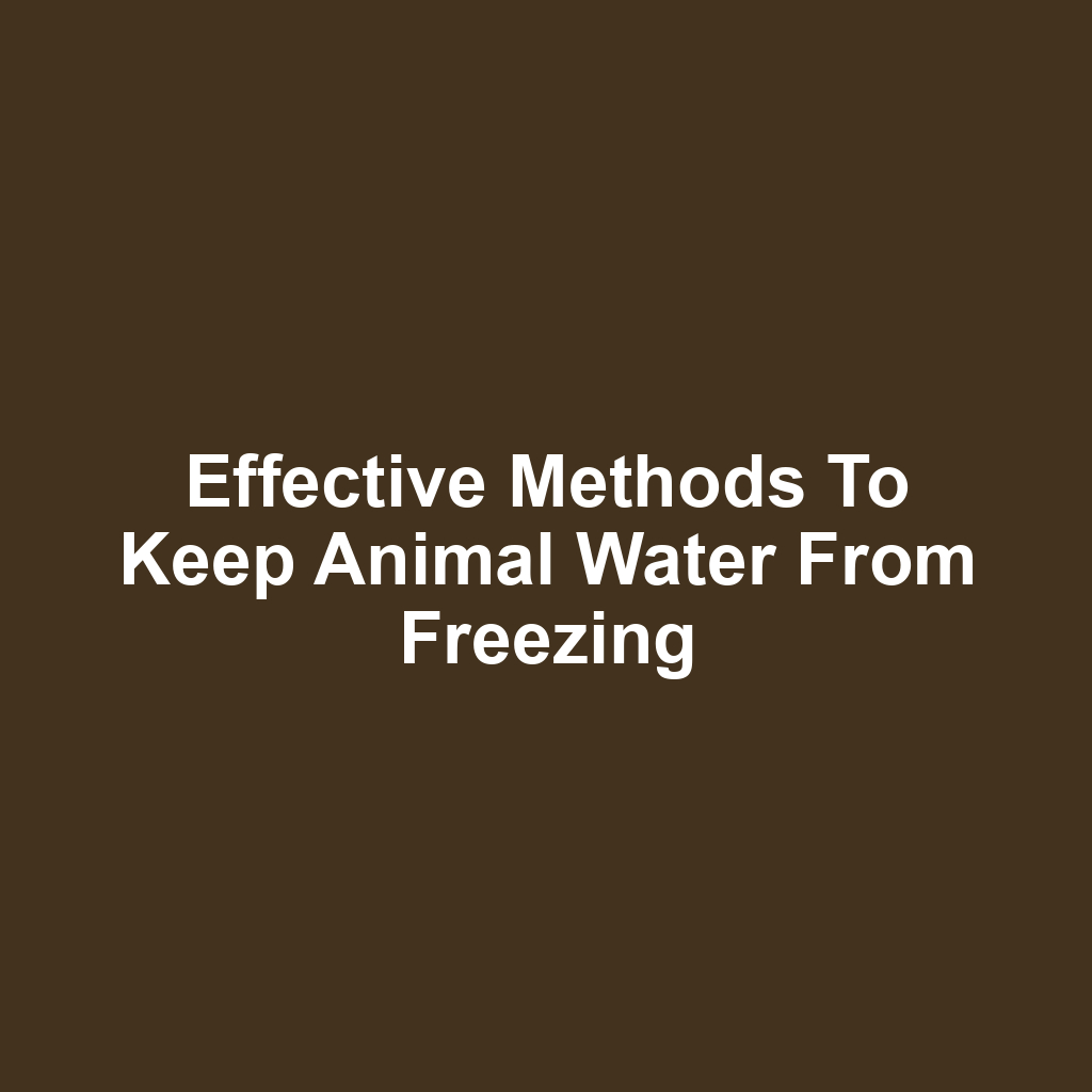 Effective methods to keep animal water from freezing