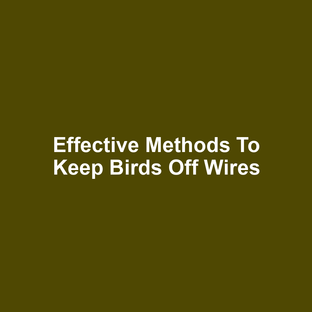 Effective Methods to Keep Birds Off Wires