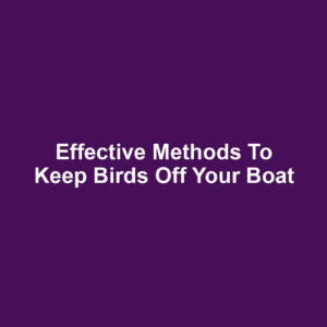 Effective Methods to Keep Birds Off Your Boat