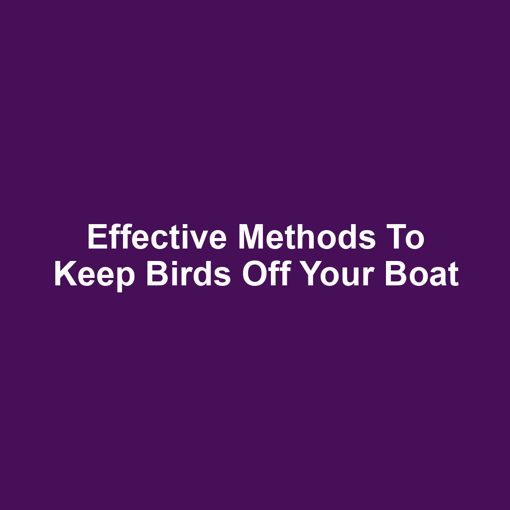 Effective Methods to Keep Birds Off Your Boat