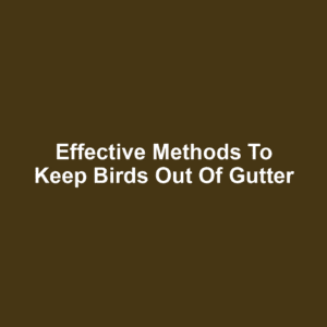 Effective Methods to Keep Birds Out of Gutter